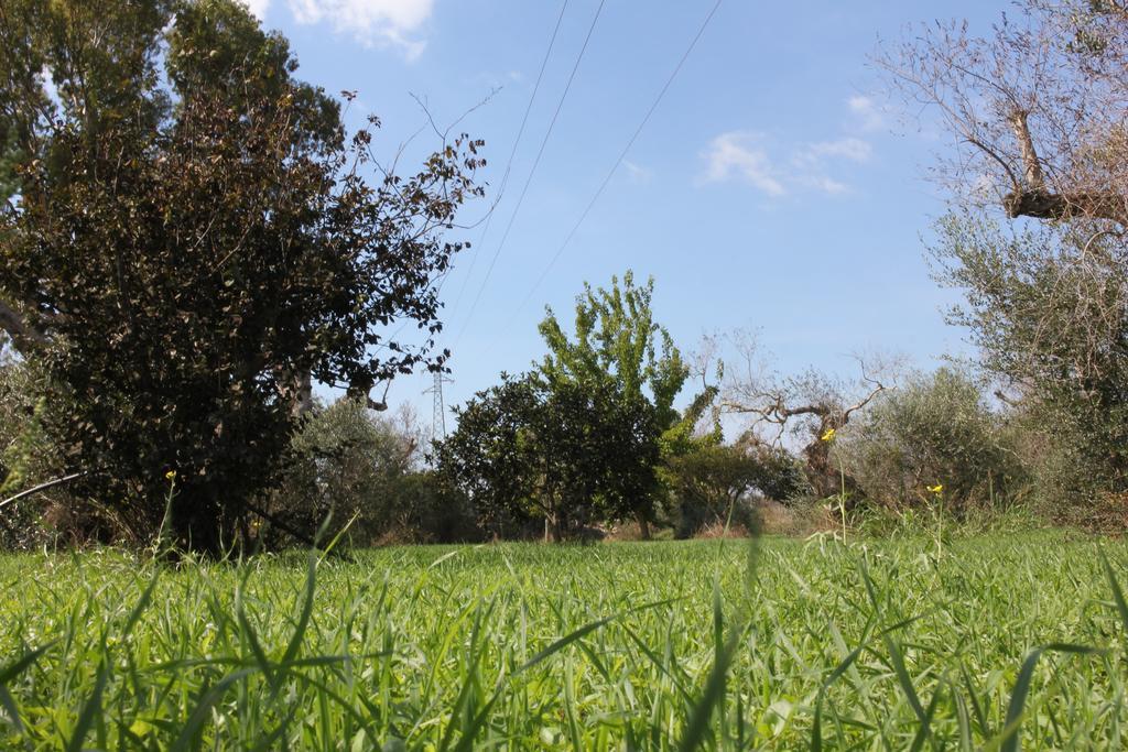 Villa Nanni Gallipoli Εξωτερικό φωτογραφία